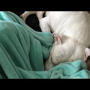 Meet your Posher, Haley